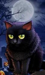 Spooky Halloween